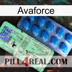 Avaforce new02